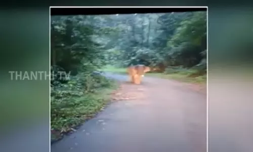 மலை சாலையில் இறங்கிய காட்டு யானை - ரிவர்ஸ் கியரில் ஓட்டம் பிடித்த டிரைவர்