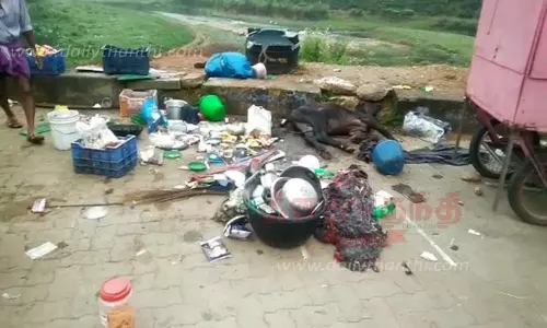 கூழாங்கல் ஆற்றுப்பகுதியில் நடைபாதை கடைகளை சூறையாடிய காட்டு யானை - கன்று குட்டியையும் மிதித்து கொன்றது