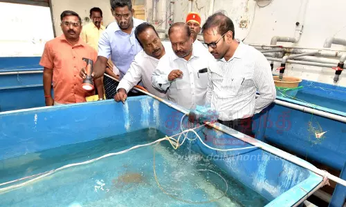 ஓசூரில் நவீன மீன்சந்தை அமைக்க நடவடிக்கை ஓசூரில் நவீன மீன்சந்தை அமைக்க நடவடிக்கை
