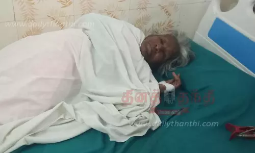 கதண்டுகள் கடித்து 10 பேர் காயம்