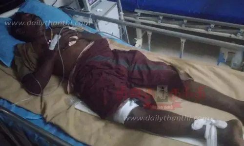 வளர்ப்பு யானை தாக்கி பாகன் படுகாயம்