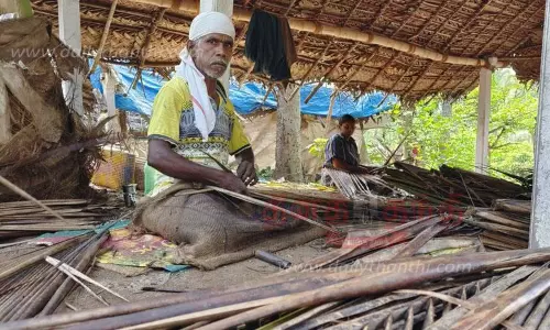 தென்னந்தட்டி தயாரிக்கும் பணி பாதிப்பு தென்னந்தட்டி தயாரிக்கும் பணி பாதிப்பு