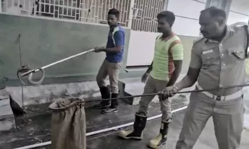 திண்டிவனம்    சப்-இன்ஸ்பெக்டர் வீட்டுக்குள் பாம்பு புகுந்ததால் பரபரப்பு