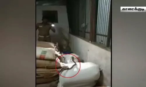 ரேஷன் அரிசி மூட்டைகளை மீட்கச் சென்ற இடத்தில் படமெடுத்து ஆடிய நல்லபாம்பு! பீதியில் உறைந்த அதிகாரிகள்