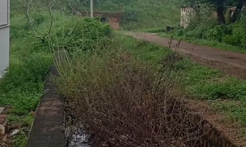 தினத்தந்தி புகார் பெட்டி தினத்தந்தி புகார் பெட்டி