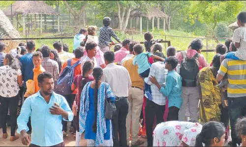 வண்டலூர் உயிரியல் பூங்காவில் பார்வையாளர்கள் குவிந்தனர்