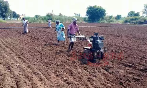 நிலக்கடலை விதைக்கும் பணி மும்முரம்