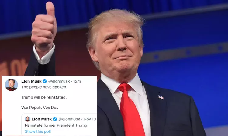 டொனால்டு டிரம்ப் டுவிட்டர் கணக்கின் தடை நீக்கம் - எலான் மஸ்க் அறிவிப்பு டொனால்டு டிரம்ப் டுவிட்டர் கணக்கின் தடை நீக்கம் - எலான் மஸ்க் அறிவிப்பு