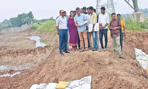 விச்சூர் ஊராட்சியில் மழை வெள்ளத்தால் பாதிக்கப்படும் இடங்களில் கலெக்டர் ஆய்வு