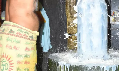 பிரதோஷத்தையொட்டி  சிவன் கோவில்களில் சிறப்பு வழிபாடு  திரளான பக்தர்கள் சாமி தரிசனம்