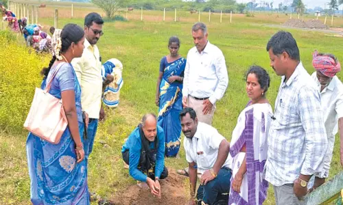 பூசிவாக்கம் ஊராட்சியில் பனை விதைகள் நடவு செய்யும் பணி தொடக்கம்