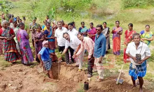 மரக்கன்றுகள் நடும் நிகழ்ச்சி