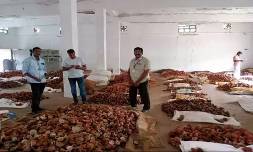 ஆனைமலையில் கொப்பரை தேங்காய் ஏலம்