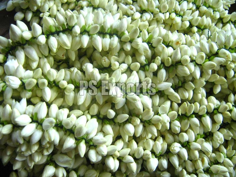 1,610 per kilo of jasmine flowers மல்லிகைப்பூ கிNலா ரூ.1,610க்கு ஏலம்