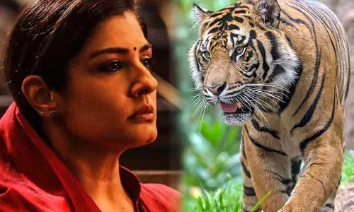 போபால் உயிரியல் பூங்காவில் புலிகளை நோக்கி பார்வையாளர்கள் கற்களை வீசுவதா? - நடிகை ரவீணா தாண்டன் ஆவேசம்