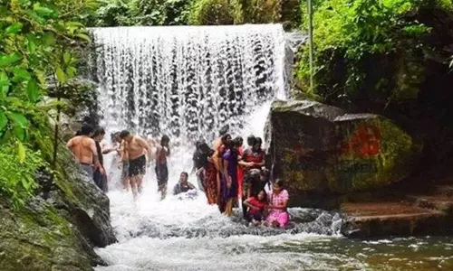 செயற்கை நீர்வீழ்ச்சிகளுடன் செயல்படும் சொகுசு விடுதிகளை மூட வேண்டும் - மதுரை ஐகோர்ட்டு அதிரடி செயற்கை நீர்வீழ்ச்சிகளுடன் செயல்படும் சொகுசு விடுதிகளை மூட வேண்டும் - மதுரை ஐகோர்ட்டு அதிரடி