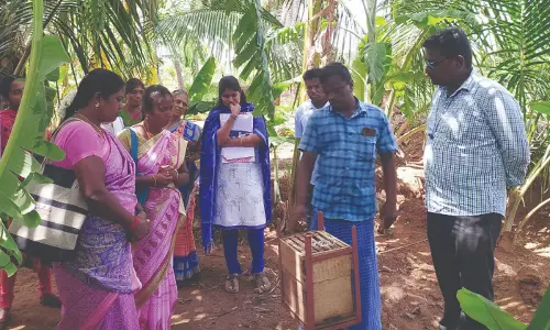 தேனீ வளர்ப்புக்கு பயிற்சியுடன் கூடிய மானியம்