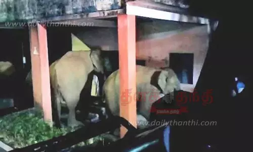 வால்பாறையில் தொழிலாளர்களின் வீடுகள், ரேஷன் கடையை சேதப்படுத்தி காட்டு யானைகள் அட்டகாசம்