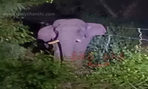 ஆழியாறில் காட்டு யானை சுற்றி திரிவதால் சுற்றுலா பயணிகள் கவனமாக செல்ல வேண்டும்