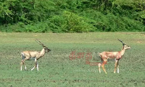 வனவிலங்கு சரணாலயம் திறக்கப்பட்டது
