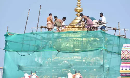 பழனி முருகன் கோவிலில்தங்க கோபுரத்தை சுத்தப்படுத்தும் பணி