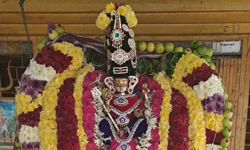 தேவபாண்டலம் பெரியநாயகி அம்மன் கோவிலில் ஊஞ்சல் உற்சவம் தேவபாண்டலம் பெரியநாயகி அம்மன் கோவிலில் ஊஞ்சல் உற்சவம்