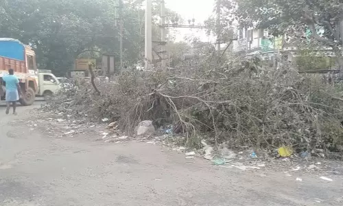 தினத்தந்தி புகார் பெட்டி தினத்தந்தி புகார் பெட்டி
