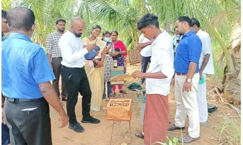 மானியத்தில் தேனீ ெபட்டி, தேன் பிழியும் கருவி மானியத்தில் தேனீ ெபட்டி, தேன் பிழியும் கருவி