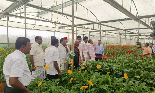 பசுமை குடிலை வேளாண் அமைச்சர் ஆய்வு பசுமை குடிலை வேளாண் அமைச்சர் ஆய்வு