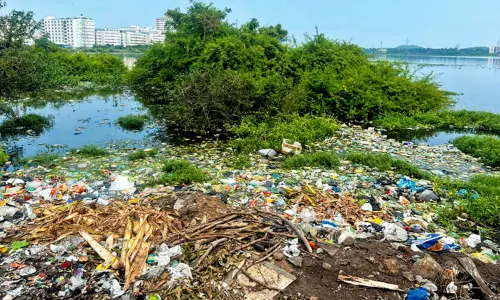 பொத்தேரி பெரிய ஏரியில் கழிவுநீர் கலப்பதை தடுக்க வேண்டும் - பொதுமக்கள் கோரிக்கை