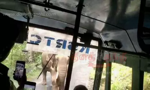 வால்பாறை அருகே கேரள அரசு பஸ்சை துரத்திய காட்டு யானை- தந்தத்தால் குத்தியதால் பரபரப்பு