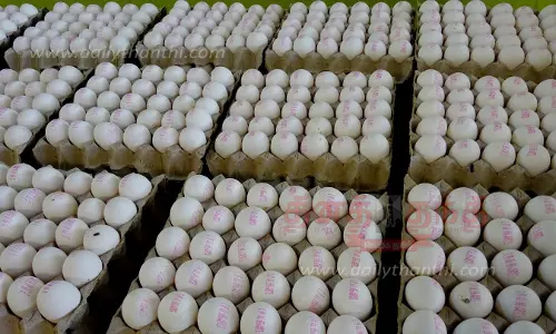 வெளிநாடுகளுக்கு முட்டை ஏற்றுமதி தொடர  நாமக்கல் மண்டலம் நோயில்லா மண்டலமாக அறிவிக்கப்படுமா?  ஏற்றுமதியாளர்கள் எதிர்பார்ப்பு