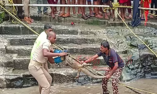 குற்றாலம் மெயின் அருவியில் திடீரென விழுந்த உடும்பு; பெண்கள் அலறியடித்து ஓட்டம்