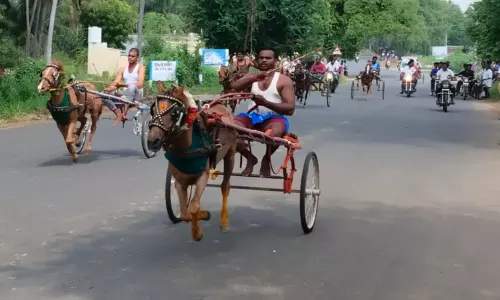 வாங்கலில், குதிரை வண்டி பந்தயம்