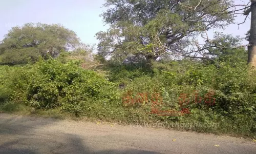 வகுத்தம்பாளையம் பகுதியில் தடுப்பணையை ஆக்கிரமித்த புதர் செடிகள்-உடனடியாக அகற்ற விவசாயிகள் கோரிக்கை