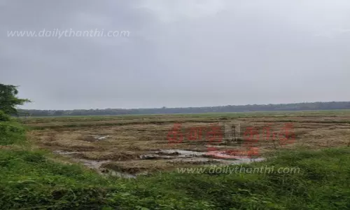 எந்திரம் கிடைக்காததால் வீணாகும் வைக்கோல்: கால்நடைகளுக்கு தீவன தட்டுப்பாடு அபாயம் -விவசாயிகள் வேதனை