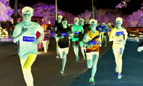 மினி மாரத்தான் போட்டி