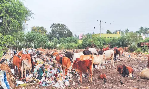நந்திவரம் அரசு பள்ளி எதிரே குப்பைகளை கொட்டும் நகராட்சி நிர்வாகம்; கலெக்டர் நடவடிக்கை எடுக்க பொதுமக்கள் கோரிக்கை