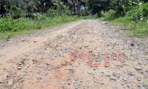 பொள்ளாச்சியில் புறக்கணிக்கப்படும் புறவழிச்சாலை பொள்ளாச்சியில் புறக்கணிக்கப்படும் புறவழிச்சாலை