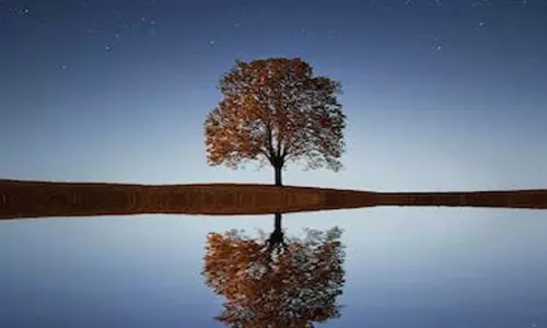 பெங்களூரு கப்பன் பார்க்கில் உள்ள மரங்களின் தகவல்களை திரட்டும் பணிகள் தாமதம்