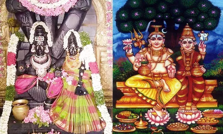 சகல சவுபாக்கியங்களும் அருளும் சொர்ண காலபைரவர் சகல சவுபாக்கியங்களும் அருளும் சொர்ண காலபைரவர்