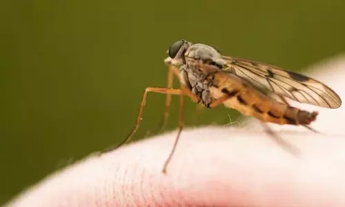 ஒரே ஒரு கொசுக்கடியால் 1 மாதம் கோமாவுக்குச் சென்ற நபர்: 30 அறுவை சிகிச்சைகள்  செய்து உயிரை மீட்ட டாக்டர்கள்...!