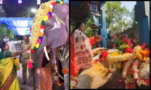 லட்சுமியின் இழப்பை ஏற்றுக்கொள்ள முடியவில்லை - கவர்னர் தமிழிசை சவுந்தரராஜன் லட்சுமியின் இழப்பை ஏற்றுக்கொள்ள முடியவில்லை - கவர்னர் தமிழிசை சவுந்தரராஜன்