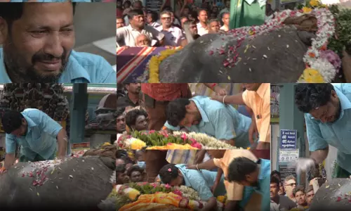 லட்சுமி எழுந்திரி மா.. ஒண்ணுமே இல்லாம கிடக்குறியே -தேம்பி தேம்பி அழும் லட்சுமியின் பாகன் லட்சுமி எழுந்திரி மா.. ஒண்ணுமே இல்லாம கிடக்குறியே -தேம்பி தேம்பி அழும் லட்சுமியின் பாகன்