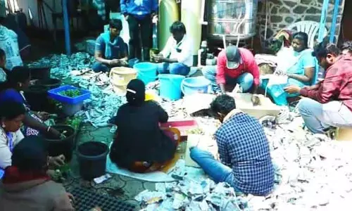 பிரையண்ட் பூங்காவுக்கு வந்த டேலியா நாற்றுக்கள்