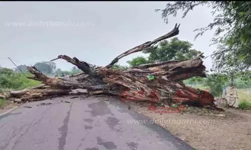 ஆலமரம் விழுந்ததால் போக்குவரத்து பாதிப்பு
