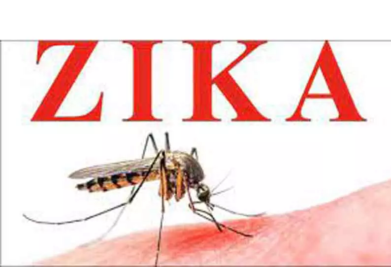 புனேயில் முதியவருக்கு ஜிகா வைரஸ் பாதிப்பு- சிகிச்சைக்கு பிறகு குணமடைந்தார்