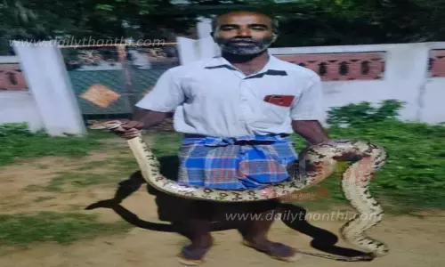 மேலஆத்தூர் கால்வாய் ஓரத்தில் 7அடி நீள மலைப்பாம்பு பிடிபட்டது மேலஆத்தூர் கால்வாய் ஓரத்தில் 7அடி நீள மலைப்பாம்பு பிடிபட்டது