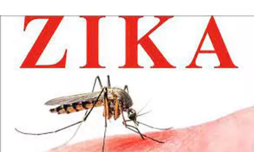 புனேயில் முதியவருக்கு ஜிகா வைரஸ் பாதிப்பு- சிகிச்சைக்கு பிறகு குணமடைந்தார்