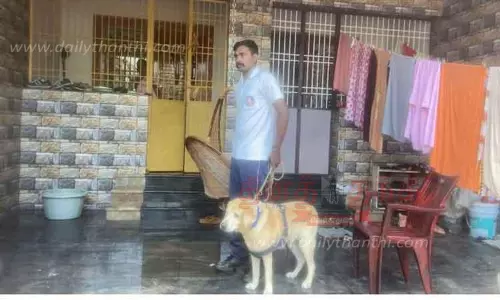 கலெக்டர் அலுவலக ஊழியர் வீட்டில் ரூ.9 லட்சம் நகைகள் திருட்டு